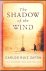 The Shadow of the Wind