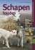H. Kuhnemann & F.G. Rozendaal - Schapen houden