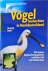 Vögel beobachten in Norddeu...