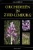 Orchideeen in Zuid-Limburg