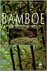 Bamboe