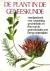 De plant in de geneeskunde ...