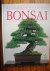 De schoonheid van bonsai