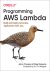 Mike Chapin John Roberts - Programming AWS Lambda