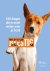 BEESTIG: honden 100 dingen ...