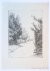 Laurent Verwey van Udenhout (1884-1913) - [Modern print, etching] View on path among trees (pad tussen bomen), published 1911.