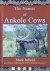 The Names of Ankole Cows