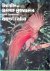 Peckover, William S.  L. W. C. Filewood - Birds of New Guinea and Tropical Australia