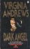 Casteel 2: Dark Angel