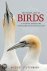 The Private Lives of Birds