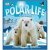 Polar Life ( 6 amazing pop-...