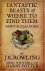 Fantastic Beasts and Where ...