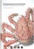 Alex Alsemgeest, Charles Fransen - In krabbengang door kreeftenboeken. De Bibliotheca Carcinologica L.B. Holthuis