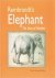 Rembrandt?s Elephant