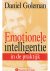 Emotionele intelligentie in...