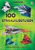 Usborne Publishers - 100 straalvliegtuigen