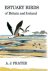A.J Prater - Estuary Birds of Britain and Ireland
