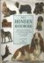 Het honden handboek - Een p...