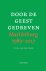Door de Geest gedreven Mari...