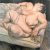 Lucian Freud