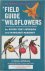 A field guide to wildflowers