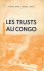 Les trusts au Congo [E-BOOK]