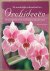 RITTERSHAUSEN, BRIAN & SARA. - De wonderlijke schoonheid van Orchideeeën, Met een uitgebreid overzicht van de bekende en bijzondere soorten