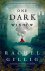 Rachel Gillig - 2022 One Dark Window