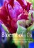 Bloembol & Co / Groenboekerij