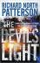 Patterson, Richard North - THE DEVIL'S LIGHT.