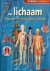 Het lichaam Organen | Licha...