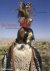 Hossein Amirsadeghi - Sky Hunters