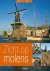 W. Roose - Zicht op molens