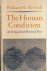 The Human Condition: An eco...