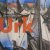(1) De Schilders Van Urk