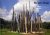 Beam Drop Chris Burden