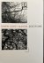 MARTIN, Dawn Lundy - Discipline