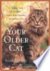 Your older cat a complete g...