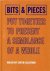 Rothfuss, Joan - Bits & Pieces Put Together To Present A Semblance Of A Whole