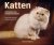 Darlene Arden, Nick Mays - Katten