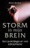 Hans Almhof - Storm in het brein