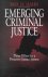 Emerging Criminal Justice