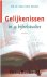 Want, Ds. van der - Gelijkenissen in 15 bijbelstudies