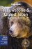  - Lonely Planet National Parks Yellowstone & Grand Teton