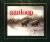 Poortvliet - Aanloop
