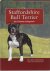  - De Staffordshire Bull Terrier