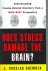 Does Stress Damage the Brai...