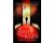 Robert Galbraith - Cormoran Strike 2 - Zijderups