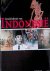 Geschiedenis van Indonesië