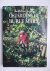 Eliovson, Sima. - Os jardins de Burle Marx.